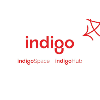 indigo